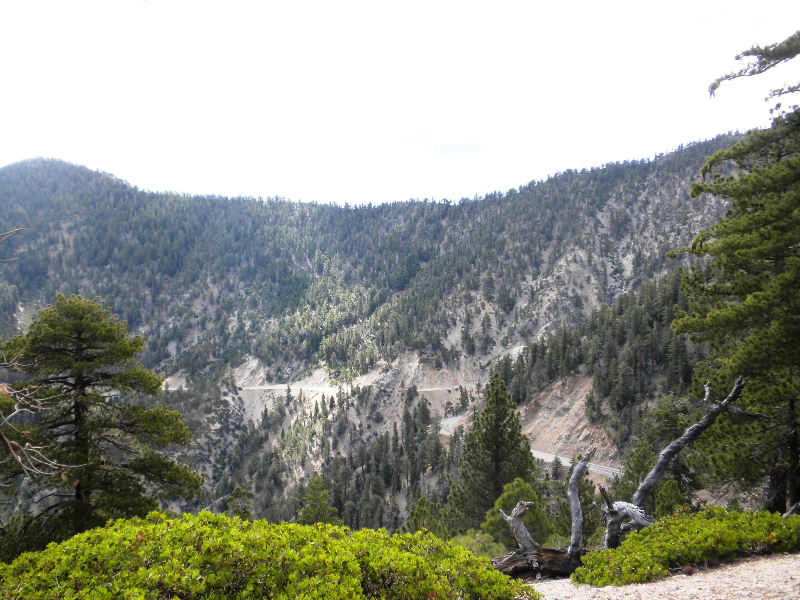 badenpowell710 009.jpg